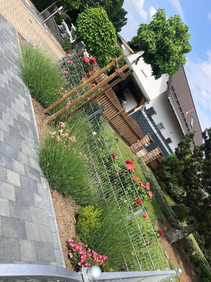Ferienhaus Gluecksmoment Blankenburg  Dış mekan fotoğraf